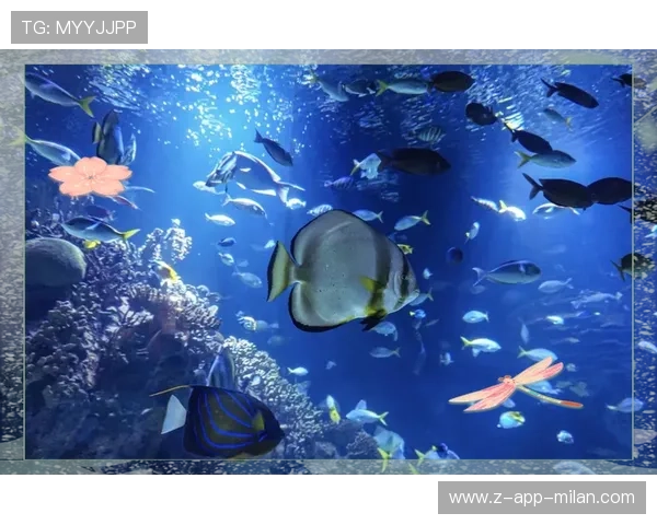 _蓝色海底冲浪：海底世界的极速体验_，蓝色色的海底