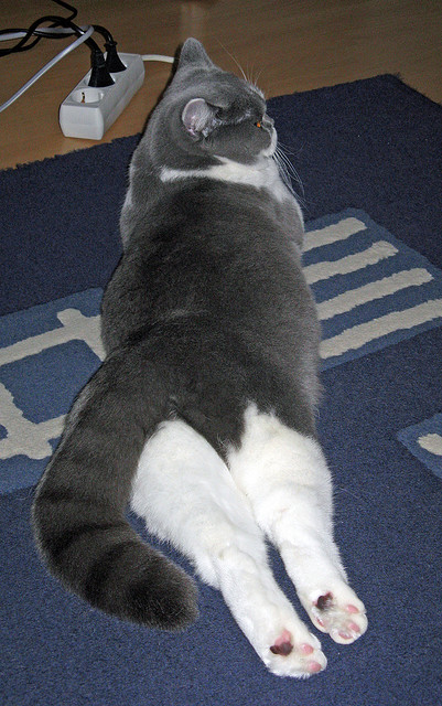 米兰登录入口-主帅确认未来重点提升技术打法比重