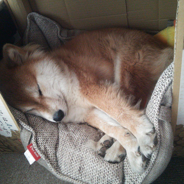 基层足球基础设施落后制约人才培养,足球培训基地建设扶持