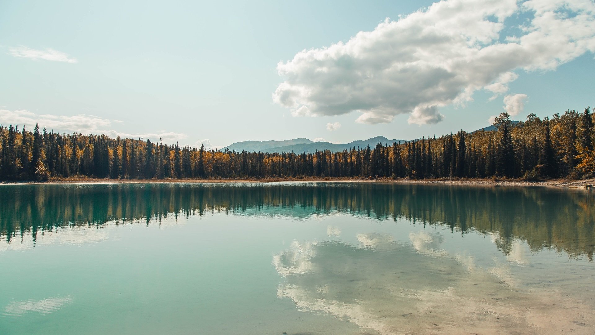 米兰登录入口-体育明星参与乡村振兴体育帮扶计划，体育在乡村振兴中发挥的作用