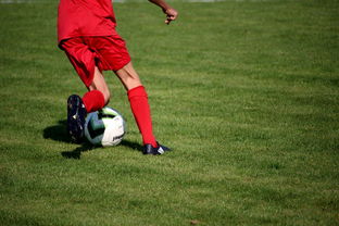 -国脚待遇结构调整引导更多球员留在国内发展，国家队国脚