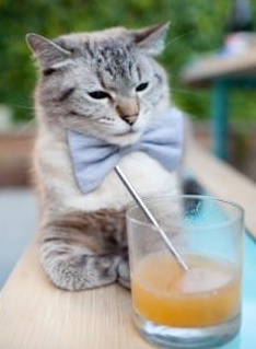 国际足联加强反兴奋剂措施，保障比赛公平，国际反兴奋剂机构