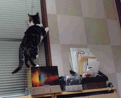 国际足联加强反兴奋剂措施，保障比赛公平，国际反兴奋剂机构