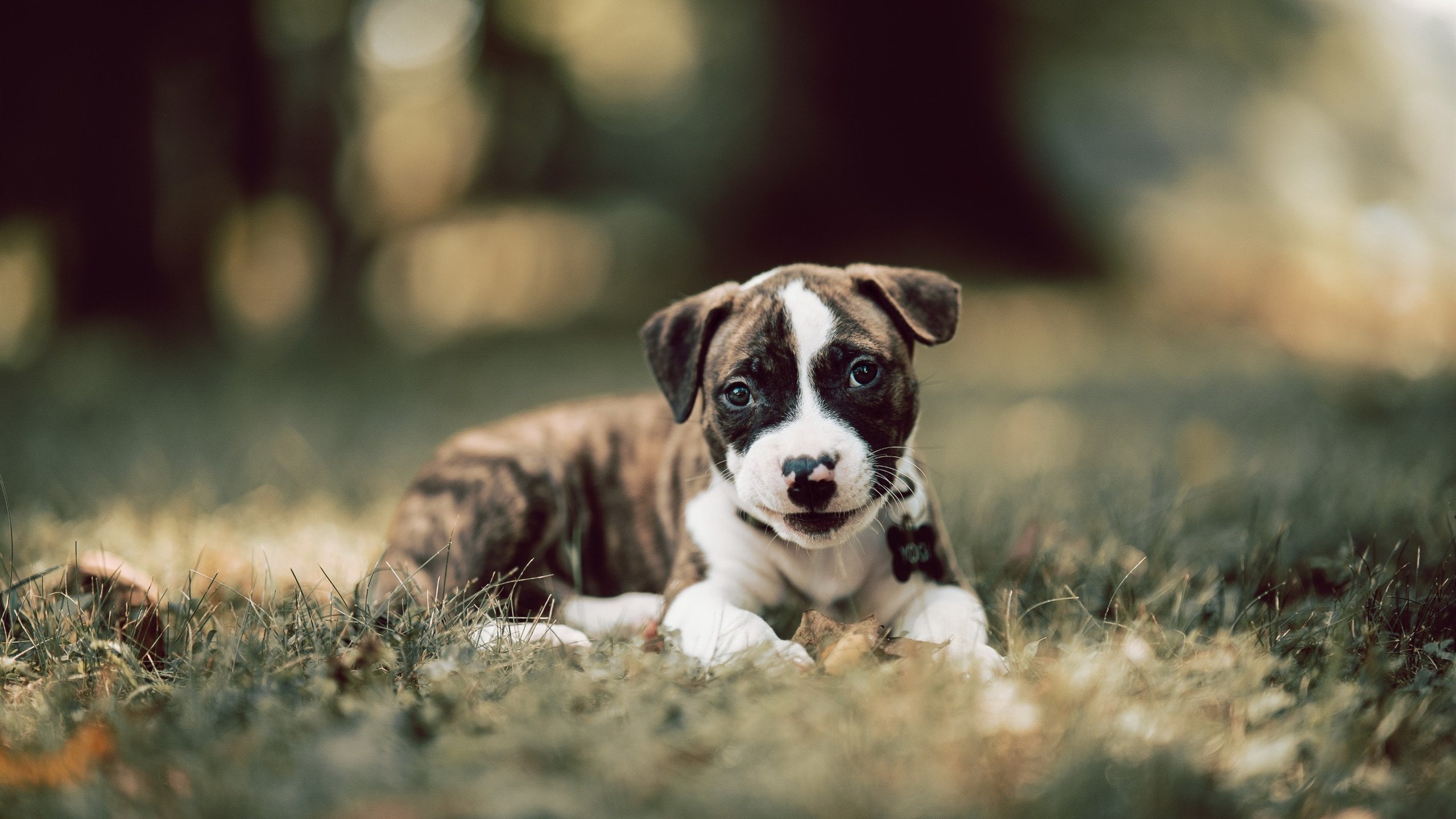 -城市联赛拉开战幕基层球队展示出令人惊喜的技战术水平，城市职业联赛