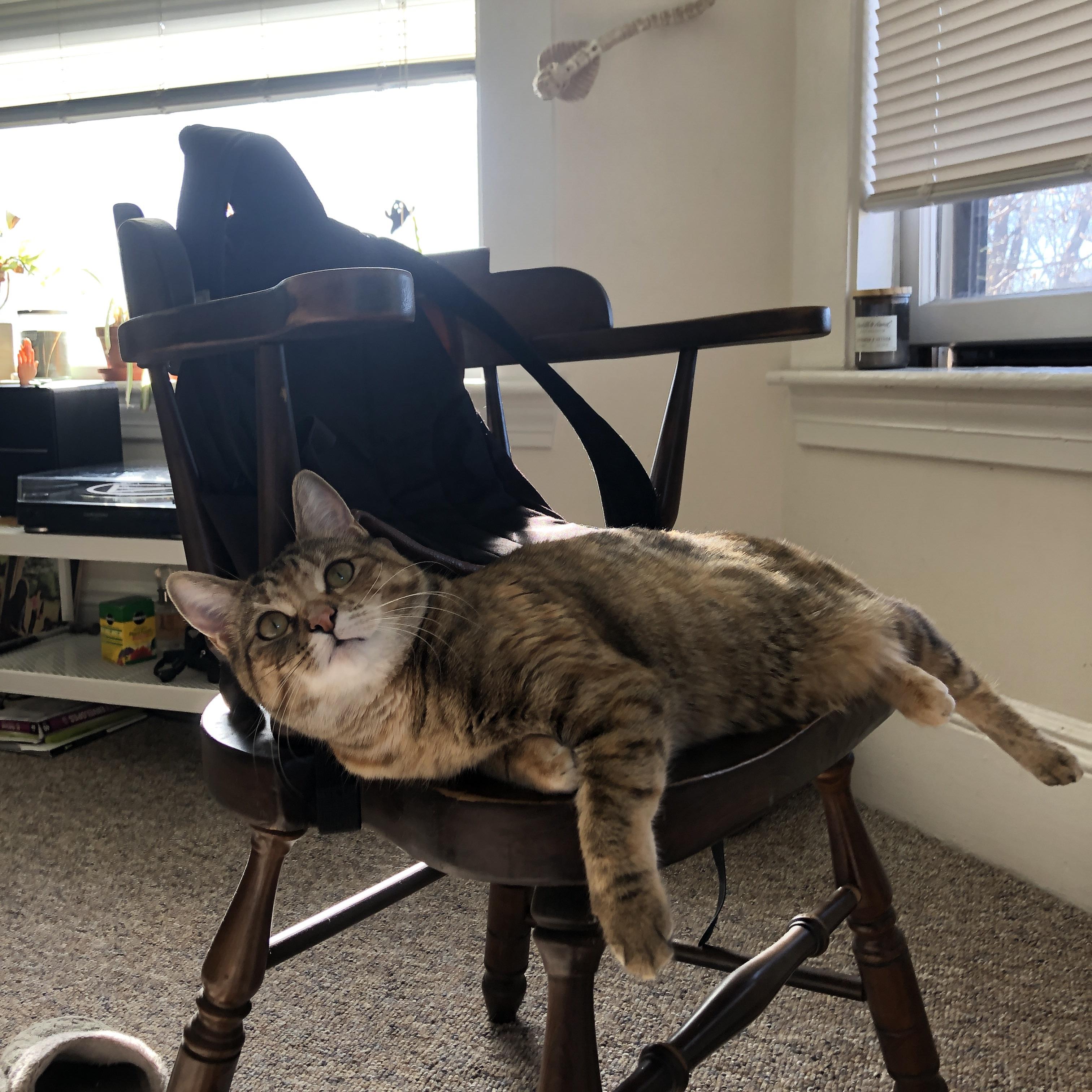 德甲绝美远射：以技术征服全场，德甲最远进球纪录