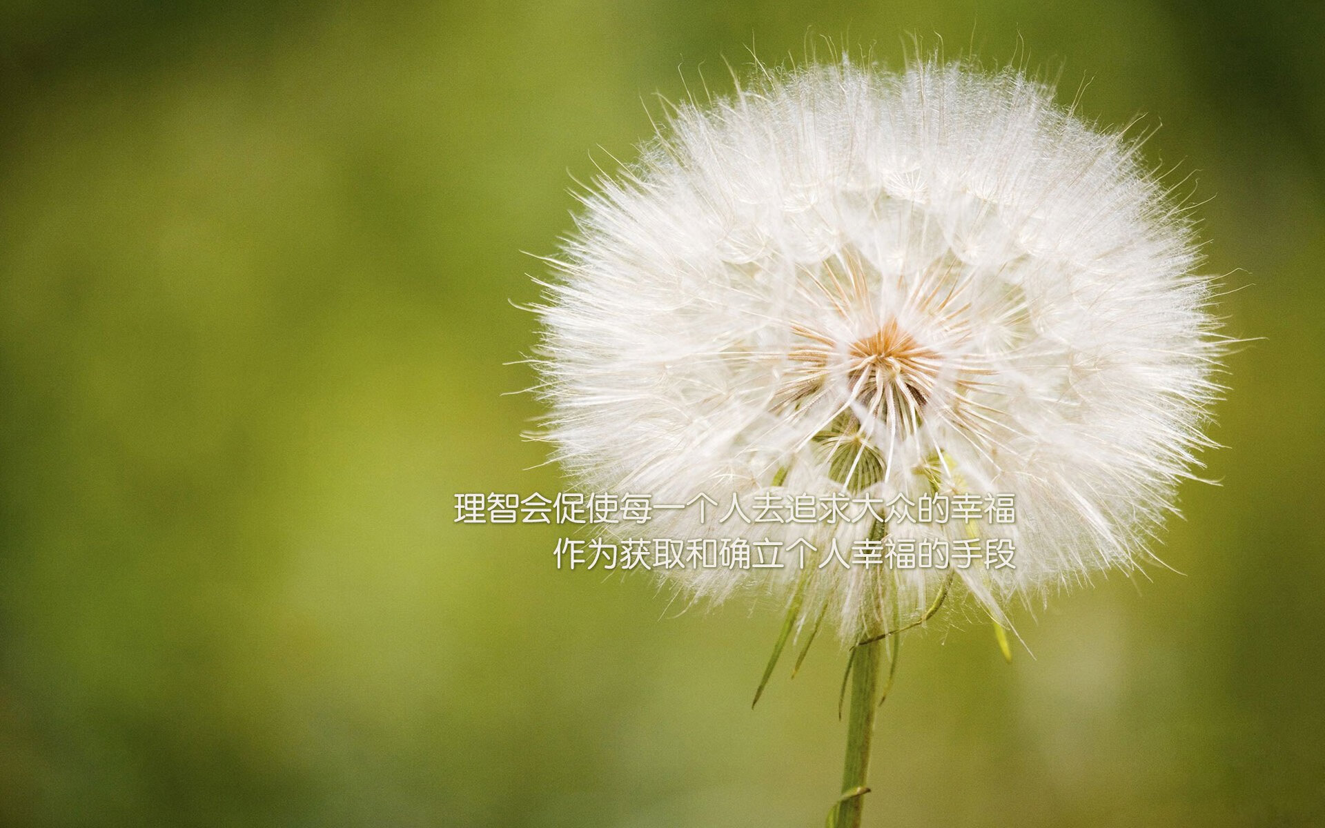 米兰体育-特色足球文化通过互联网直播走向全球，增强影响力，足球文化app