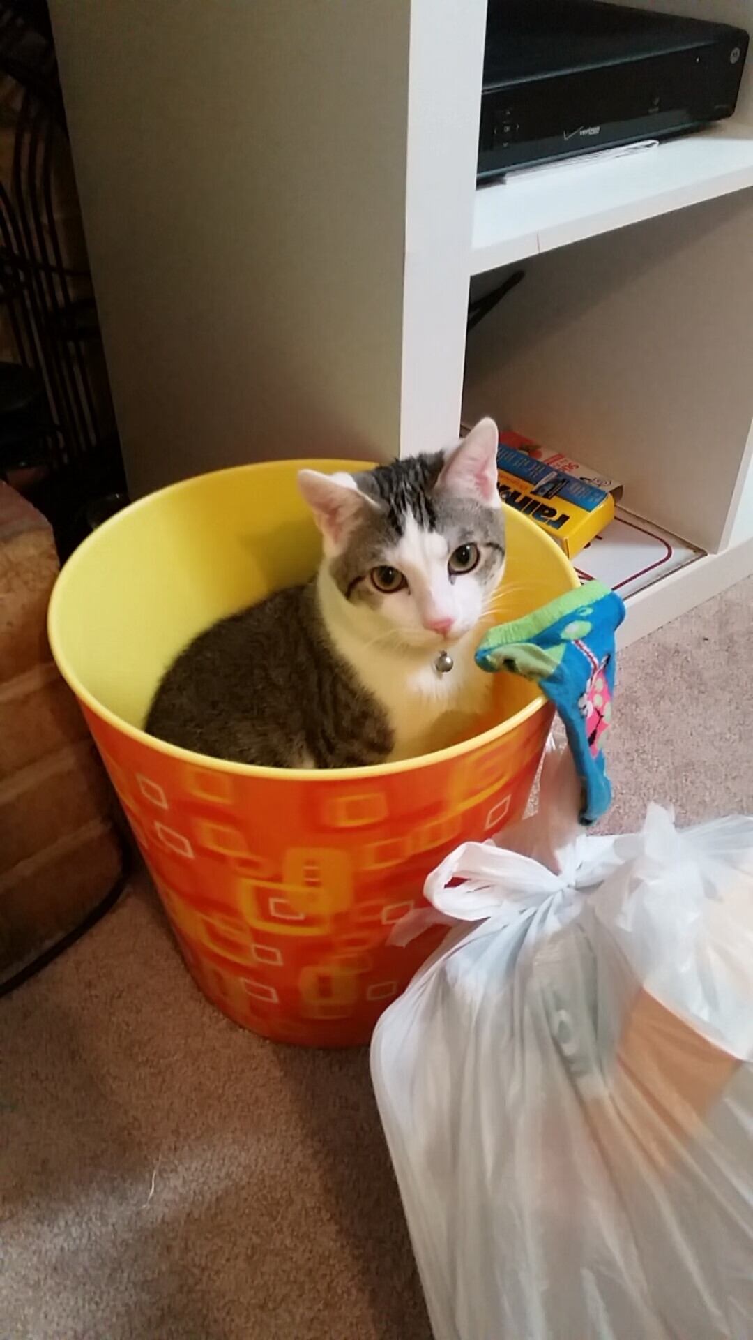 Milan Sports-约翰·恩多耶-布鲁阿尔稳步提升成绩赢得掌声，肖恩布鲁恩和约