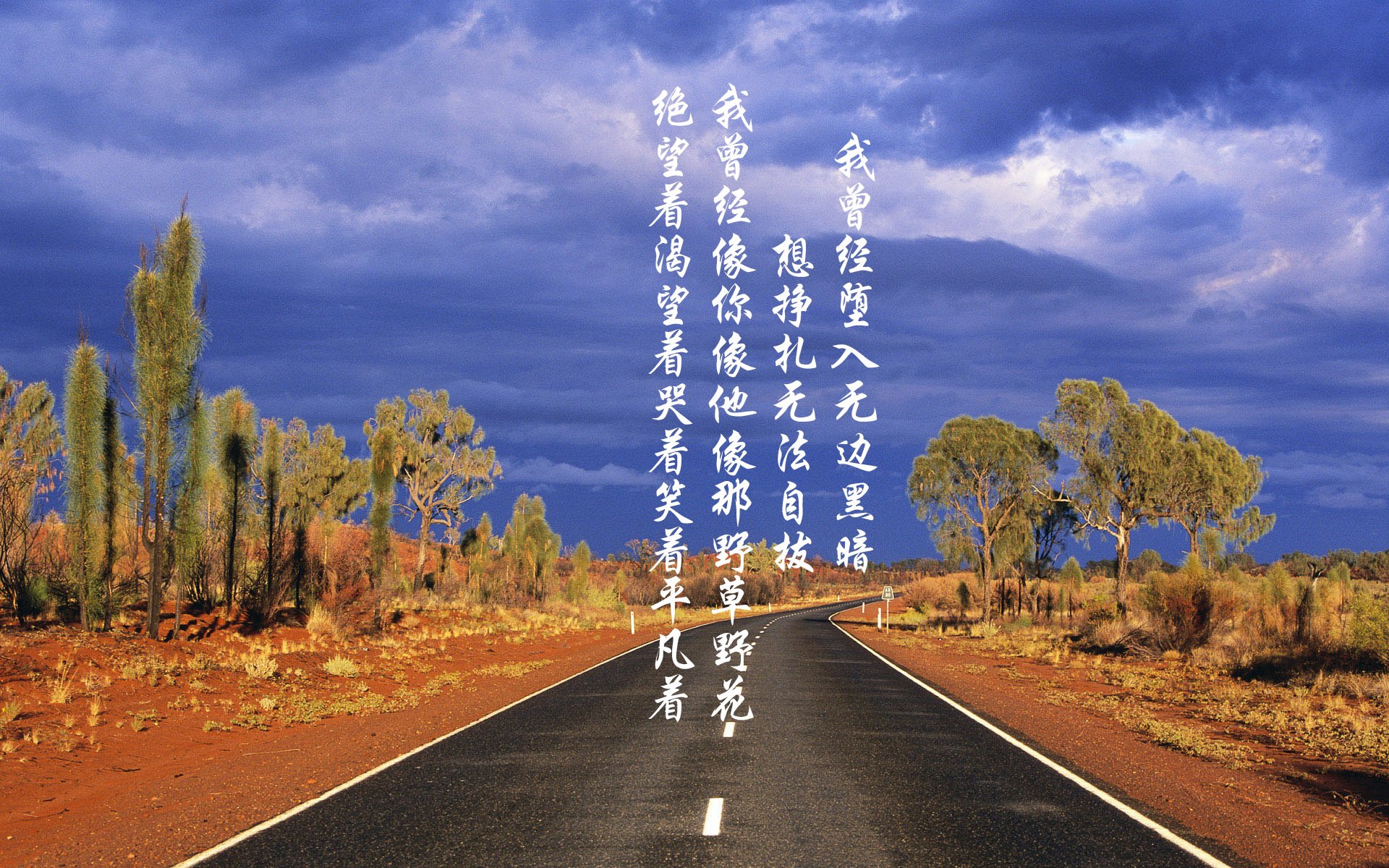 艾比·德尔福：南非队关键时刻的防守英雄，稳步锁定胜利，比尔和艾德