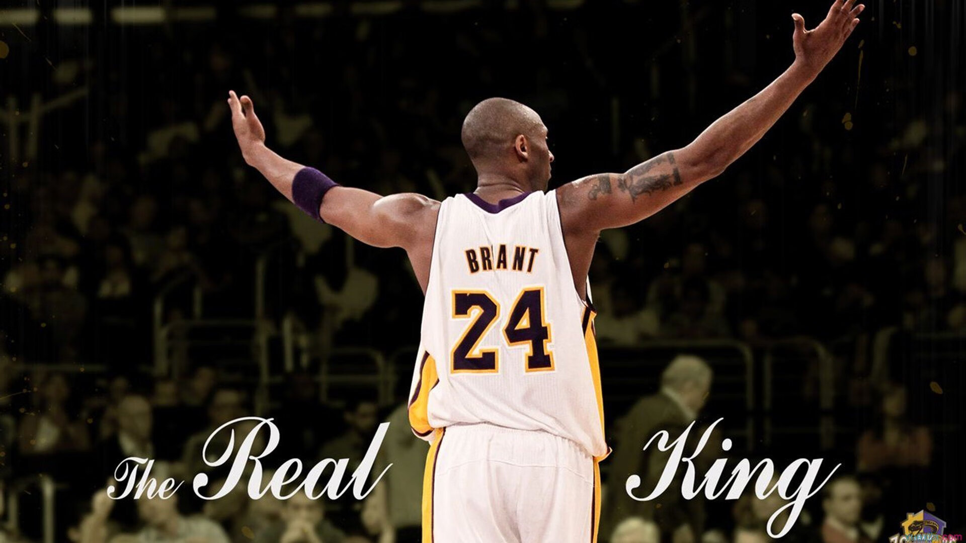 AC米兰-《冠军奥运篇》走近林跃跳水故事，跳水冠军林跃2019最新消息